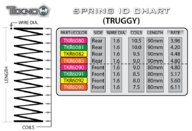 SpringChart_Truggy2.jpg