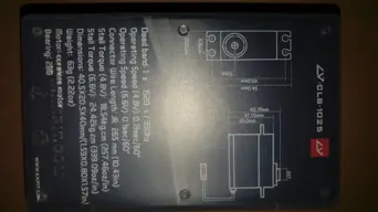 IMAG0579.webp