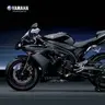 YZFR1