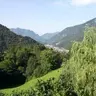 Walterino
