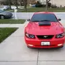 Mustang Guy '01