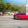 WildP1