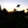 Tim Bashinski