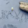 Rippinpacks