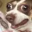 full_send_rcs