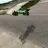 7plymaple RC