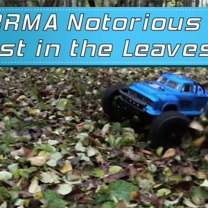 ARRMA Notorious 6S - Lost in the Leaves. Autumn Bashing With Ramp.