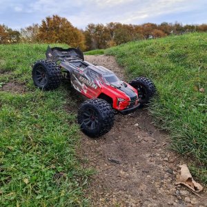 Happy Bashing