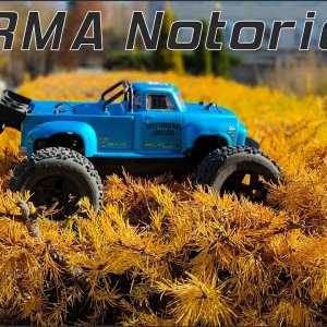 ARRMA Notorious 6S - Autumn Run