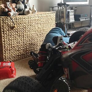 arrma infraction burnout
