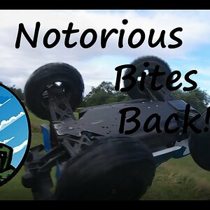 arrma infraction burnout