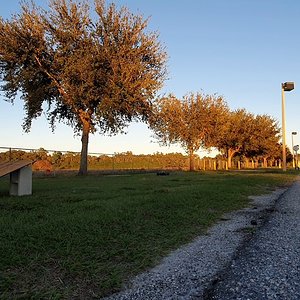 Arrma Kraton 8s First Jumps.2